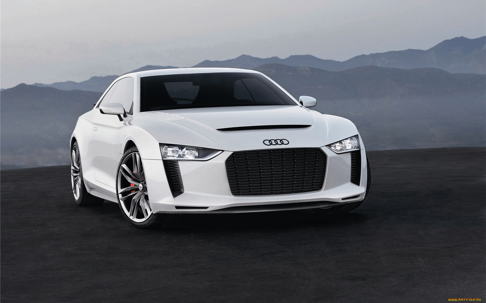 , audi, quattro